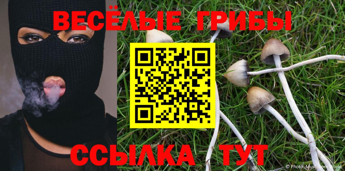 Галлюциногенные грибы ЛСД  Вход с VPN  Псилоцибиновые грибы GOLDEN TEACHER  Георгиевск 